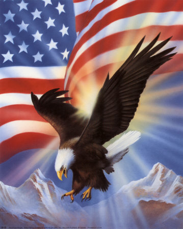 Eagle Us Flag